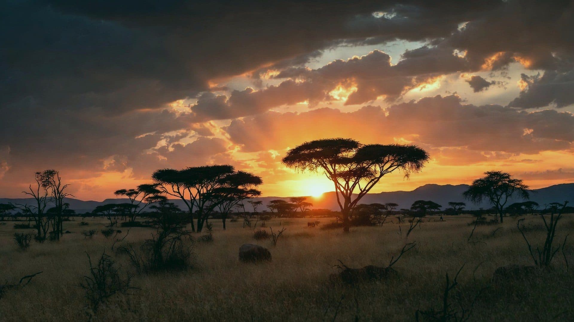 Landscape across Africa
