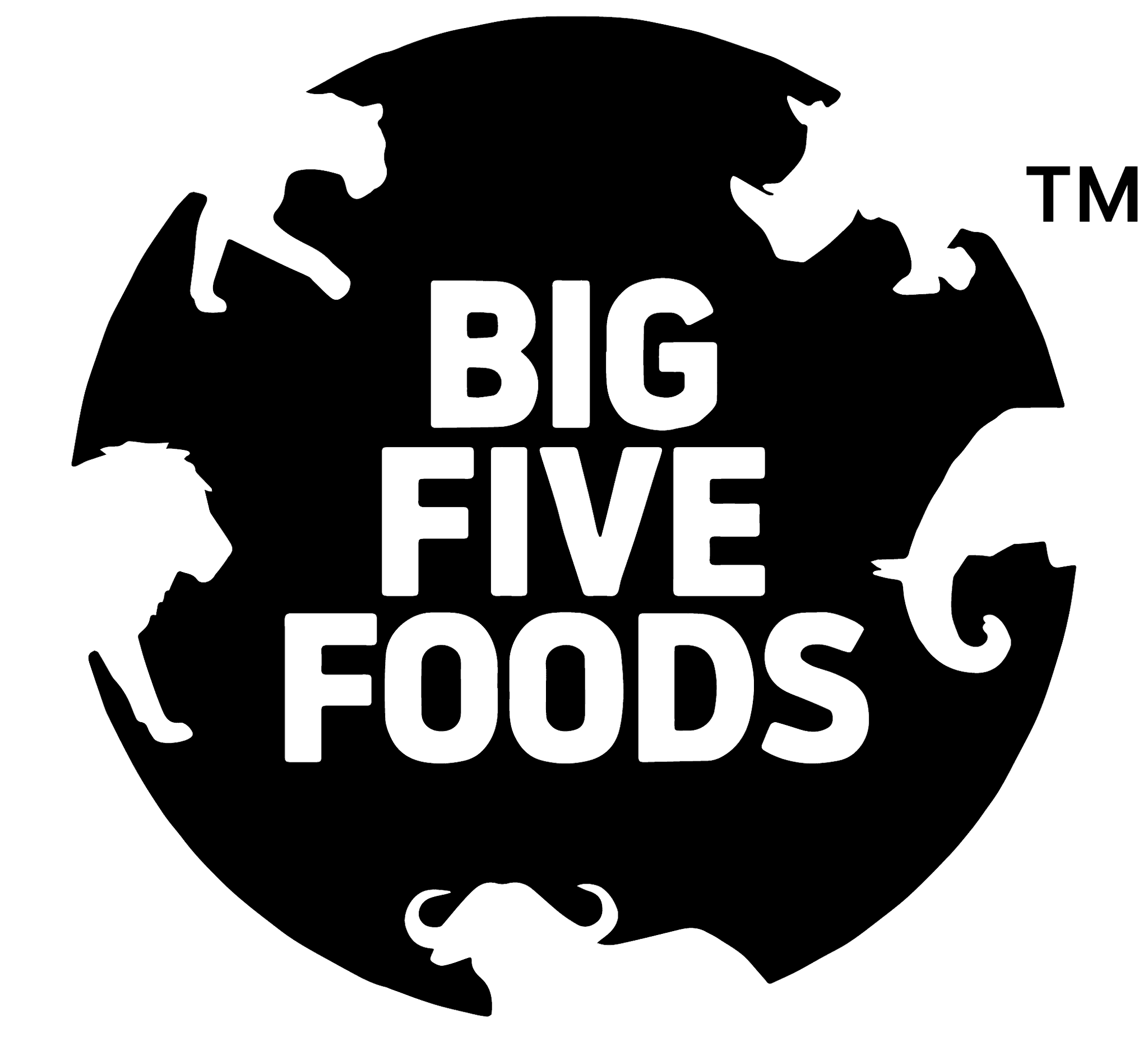 Big Five Foods logo